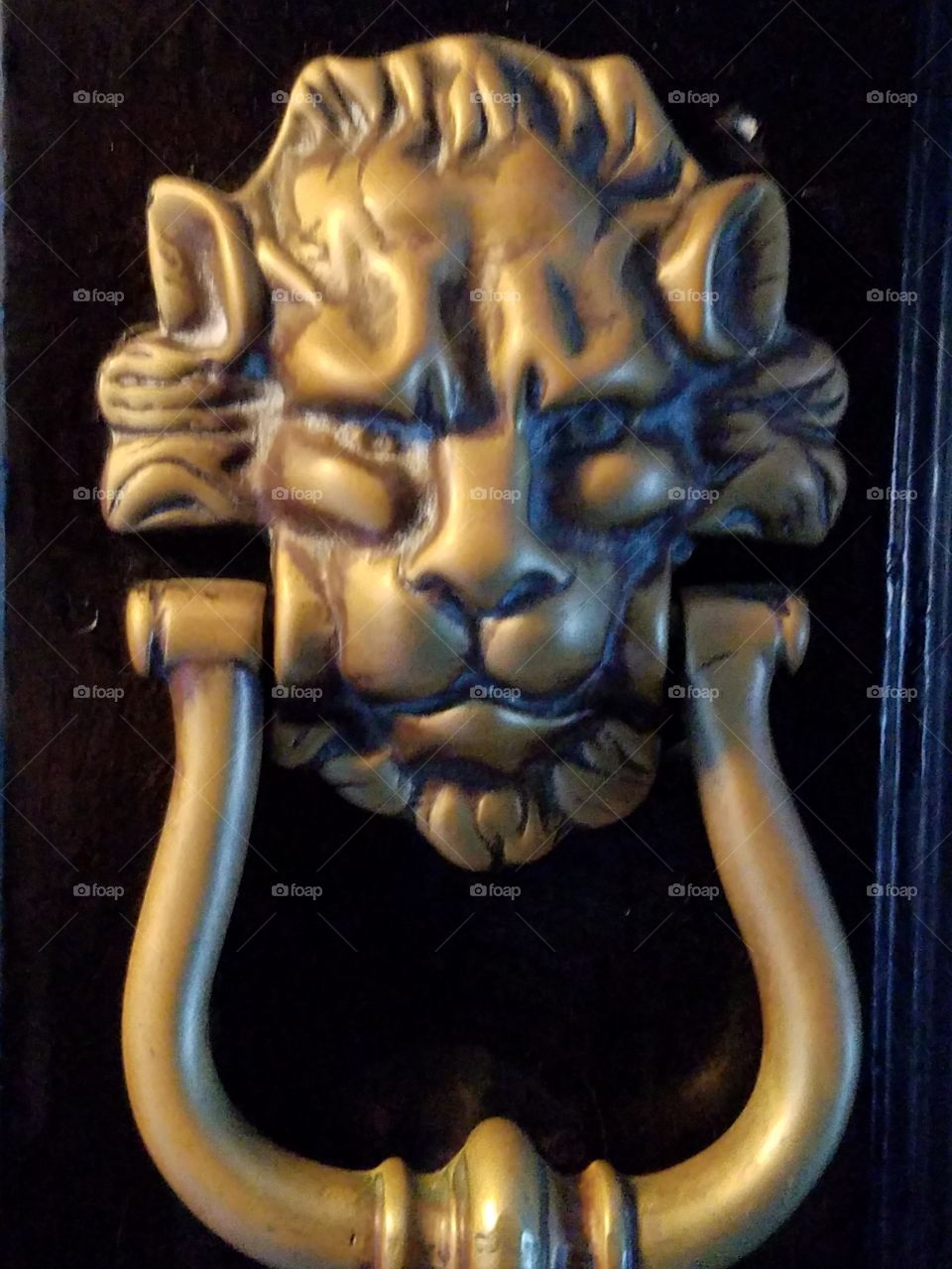 Lion head door knocker