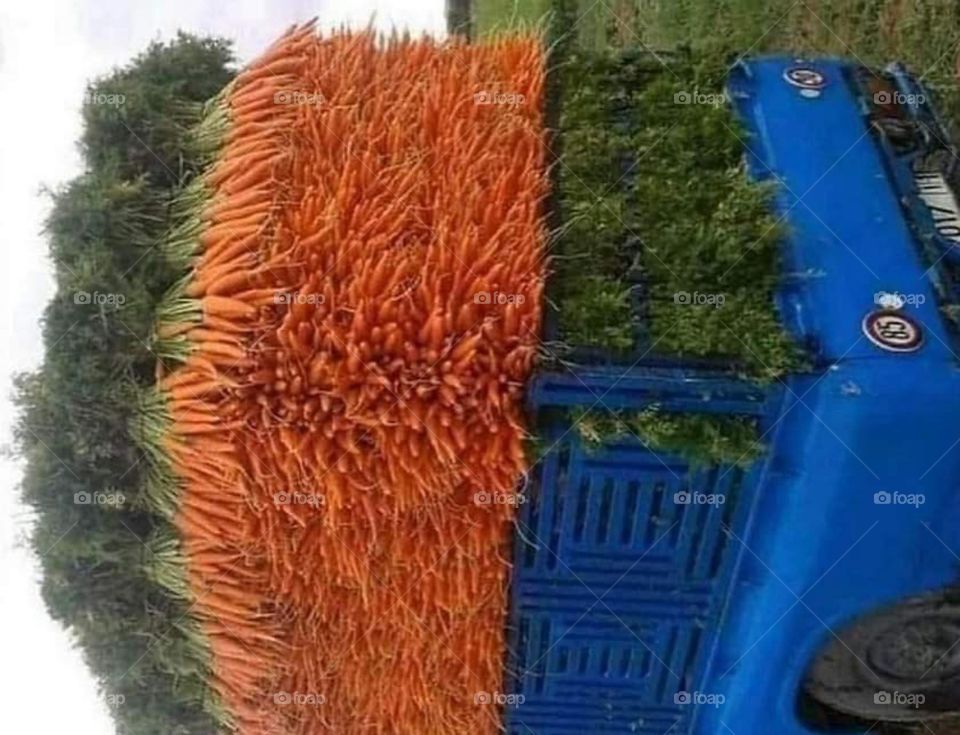 Made in morocco 🇲🇦