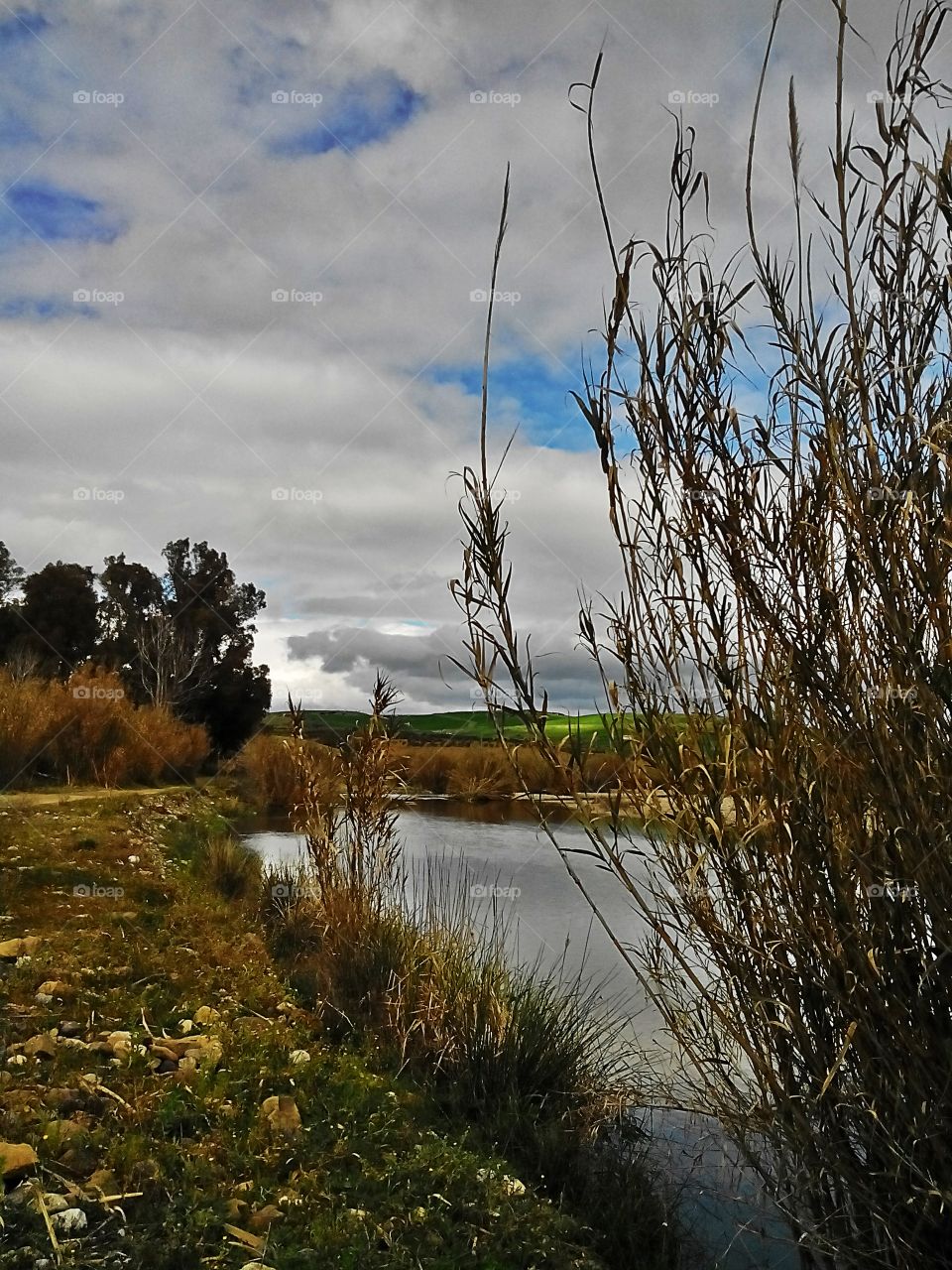 Images of Andalucia, Rio Grande River,  Coin 