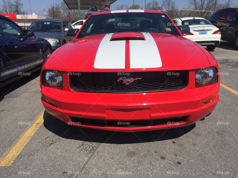 Red Mustang