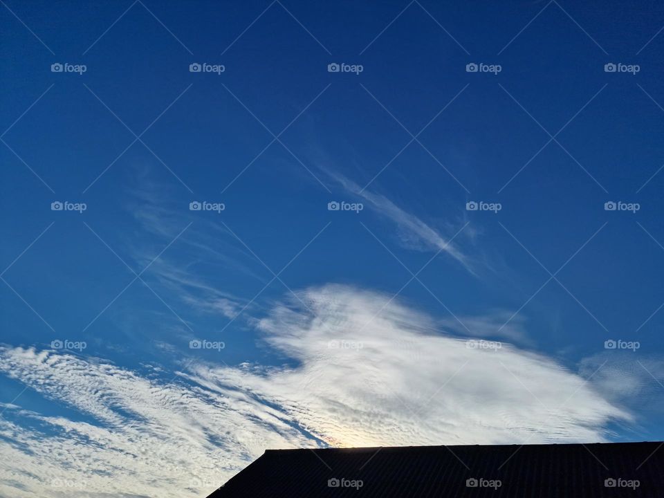 Sheep on the rooftop