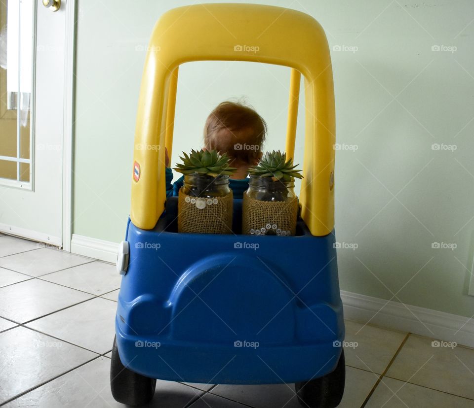 My nephew driving his brand new ride, helping me transport my green, lush succulents. 