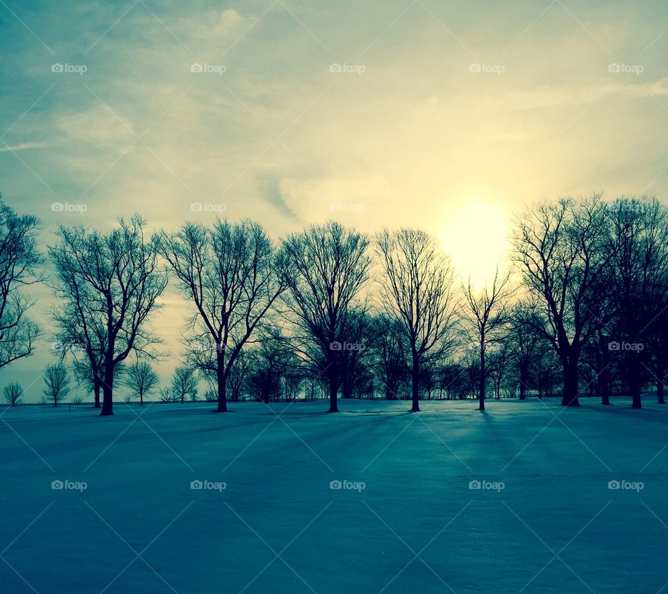 Winter park in Chicago