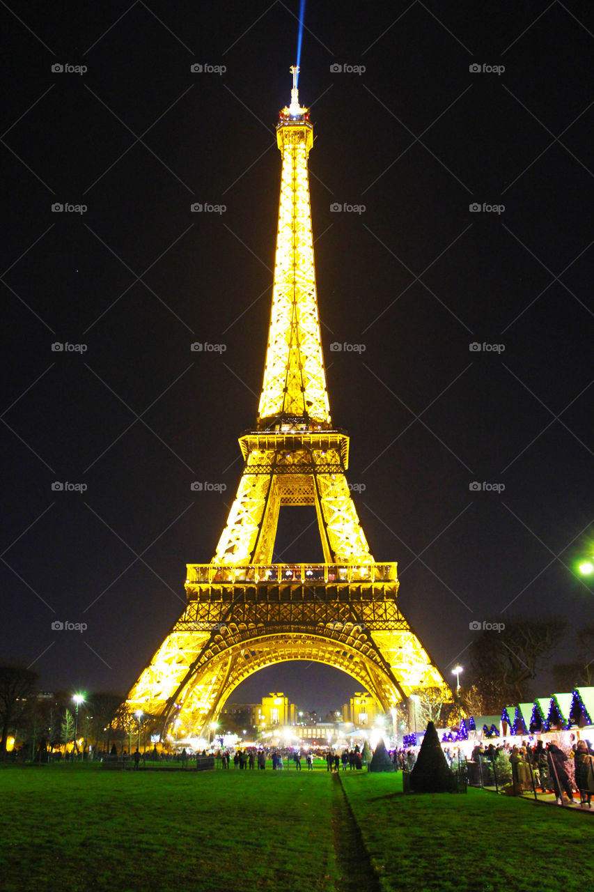 Eiffel tower lit in the night seen from champ de mars