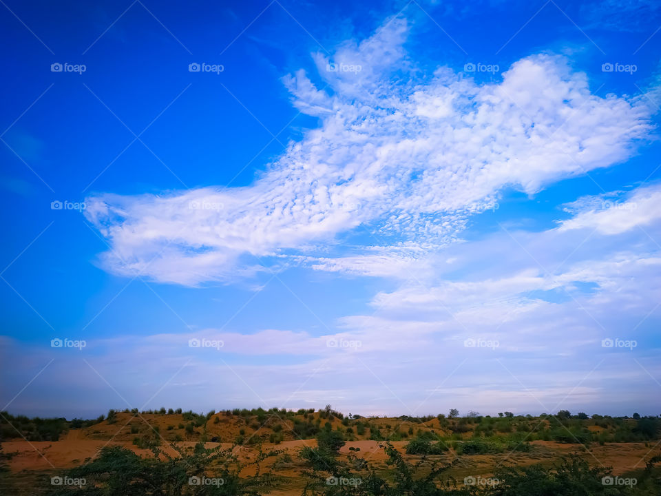 Landscape with field backdrop on Blue sky