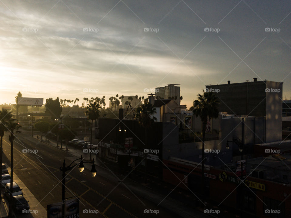 Sunrise Hollywood Blvd.