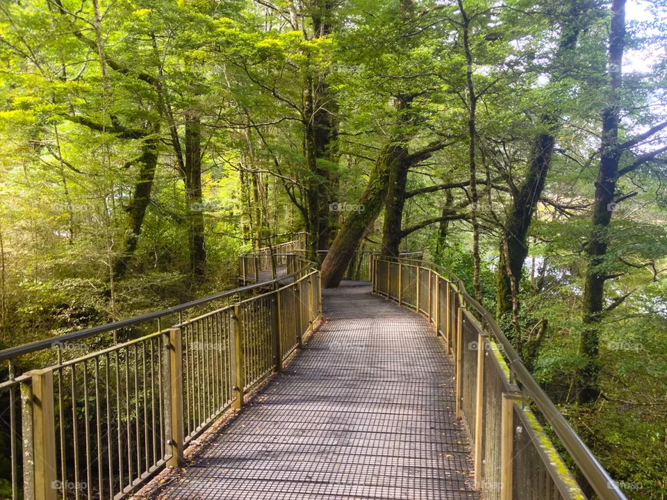 Footbridge