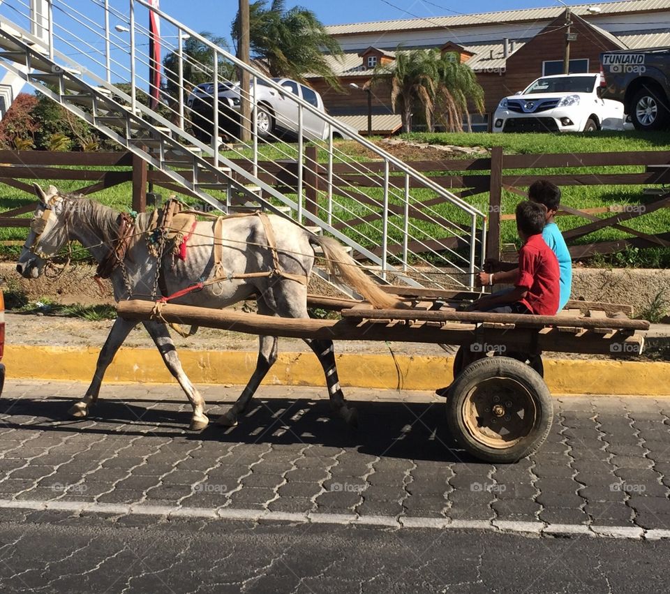 Donkey pulling cart on Main Street in Managua, Nicaragua. 