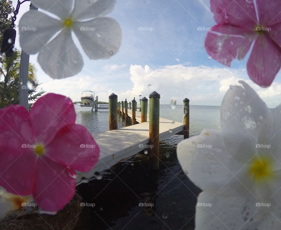 Another day in paradise 