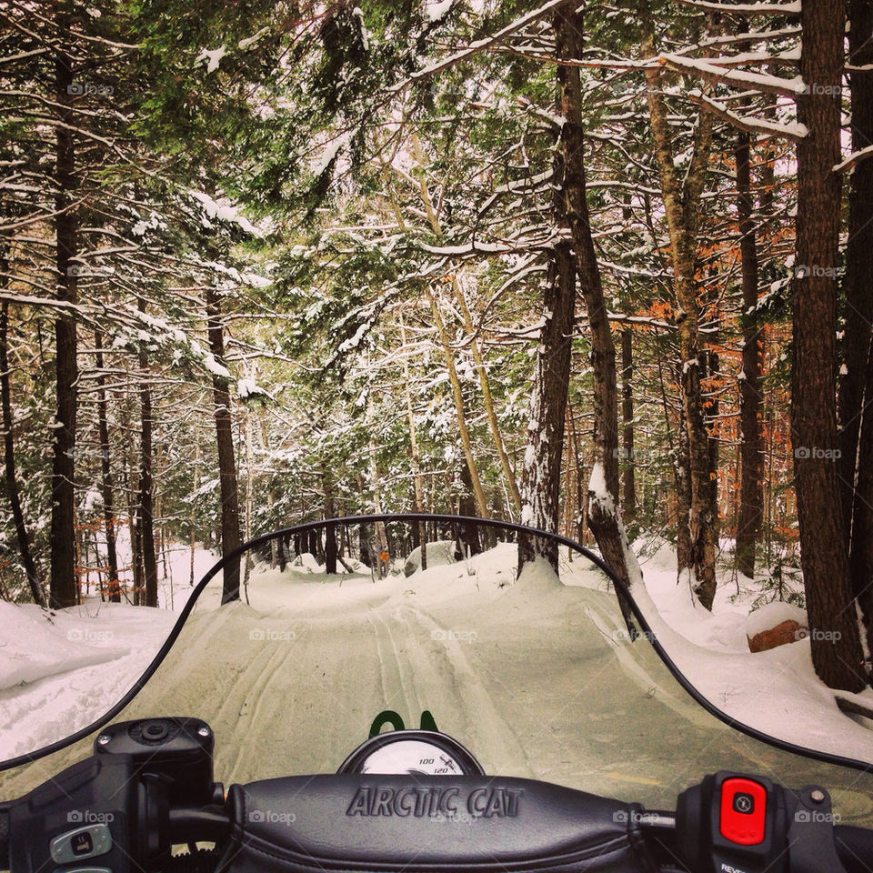 Looking over the snowmobile down the trail through the forest!