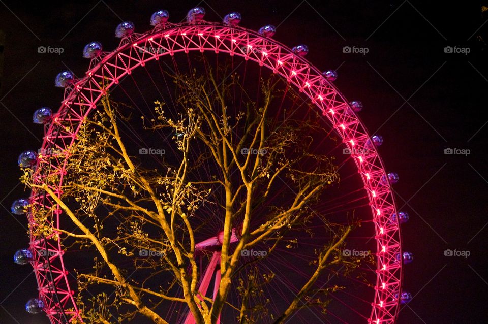 London eye tree