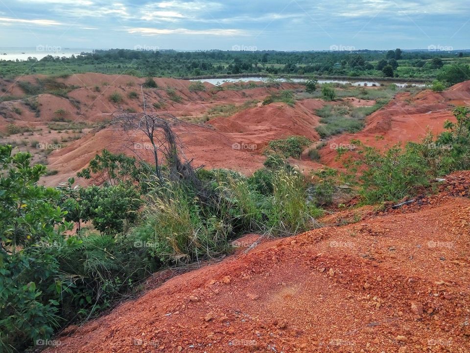 Long view nature landscape