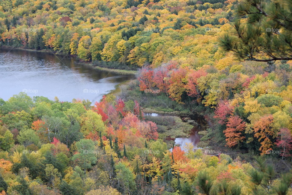 the colors of fall surrounding lake of the clouds in the upper peninsula of Michigan