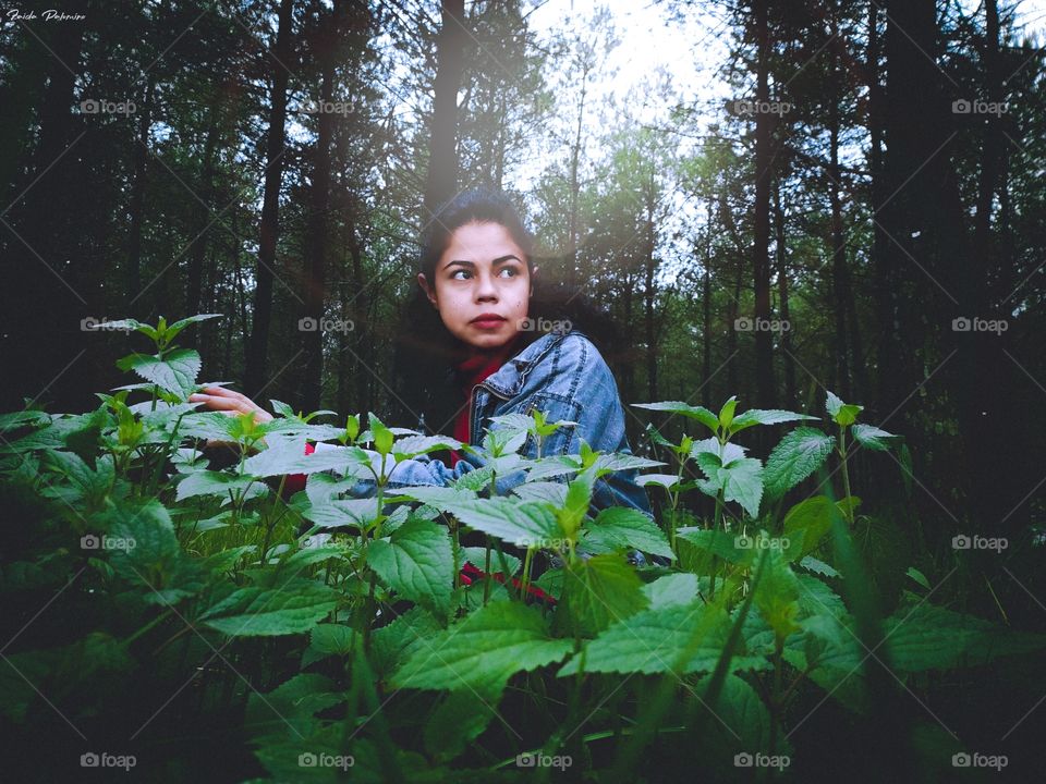 In the middle of the forest