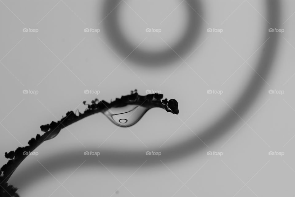 waterdrop blackandwhite nature