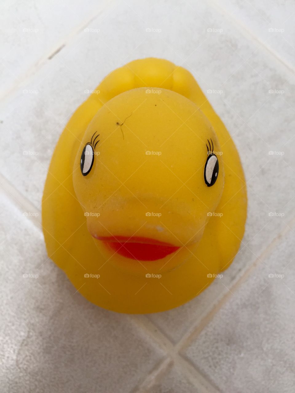 My duck