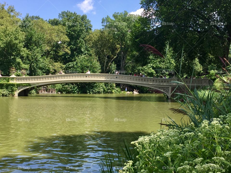 New York, central park