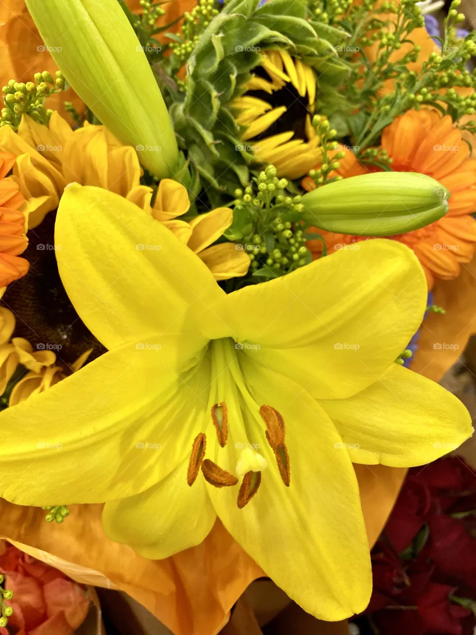 Flowers 