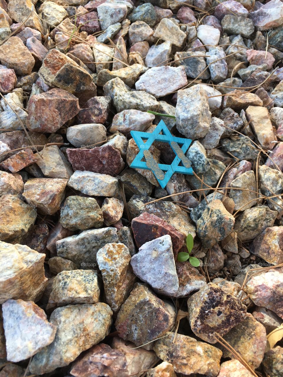 Hope in the midst of destruction 