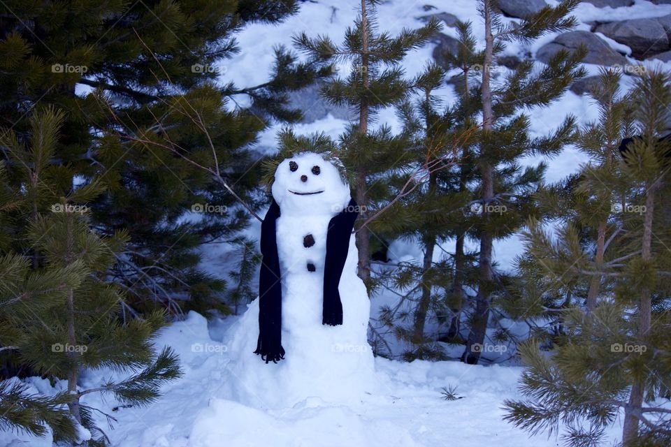 Close-up of snowman