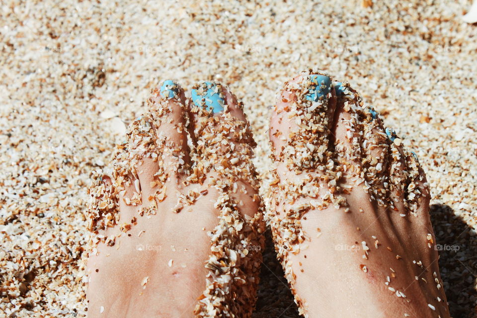 feet in shells,