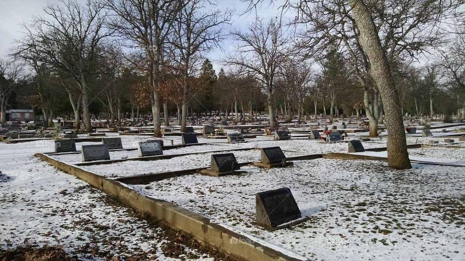 Cemetery under snow