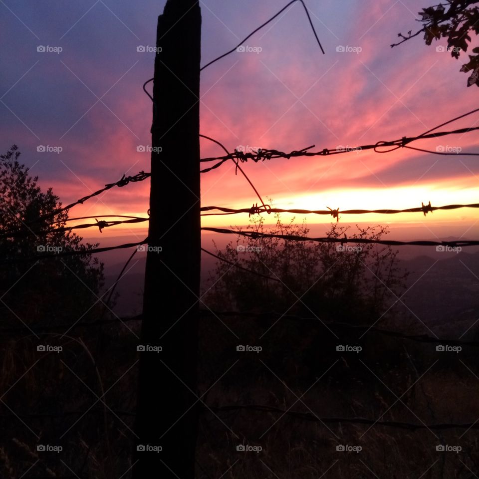 Barbed Wire Sky