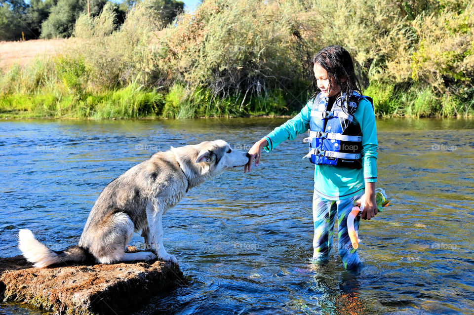 A shot of a baby husky meeting the girl for the first time in the cold river under the old bridge.  