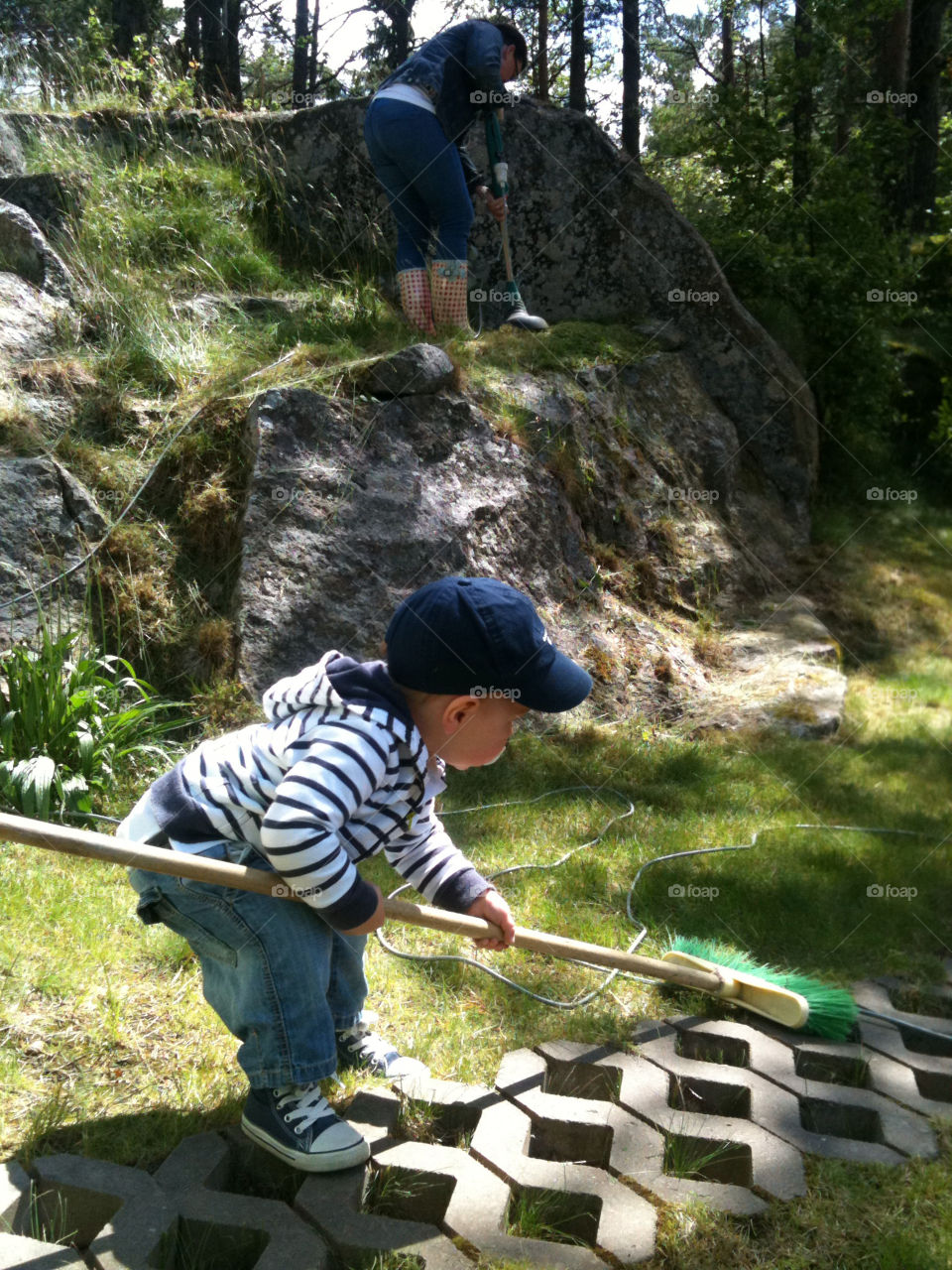 garden grass summer sun by zebra
