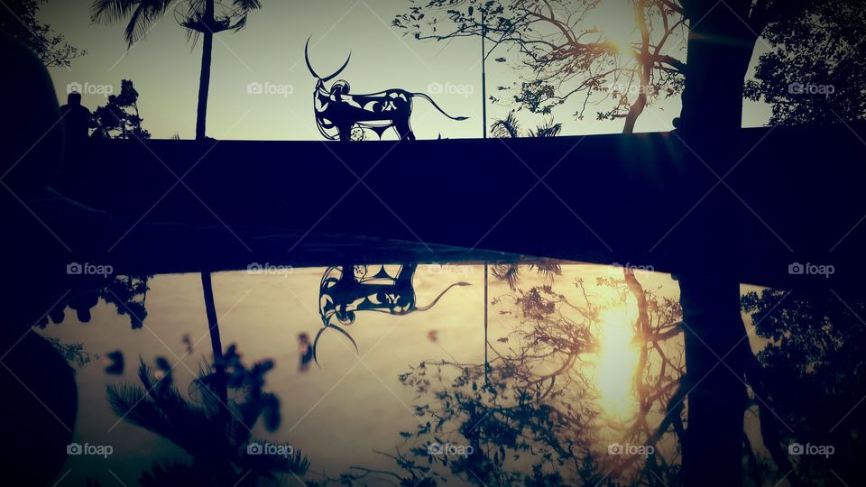 One of the beautiful reflection