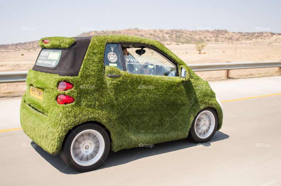 Grassy car