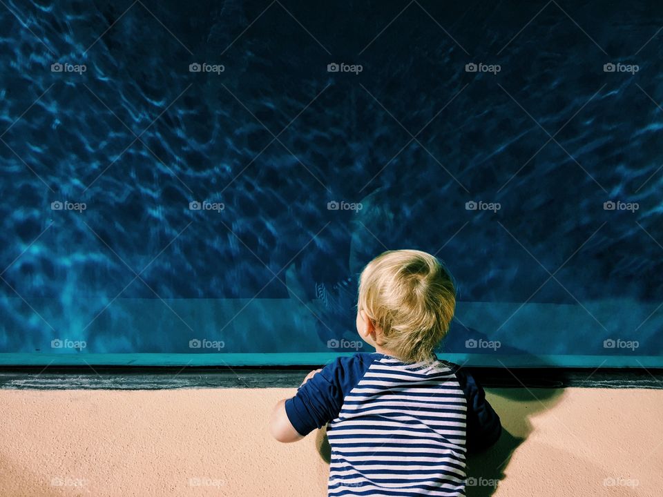 Child looking in aquarium