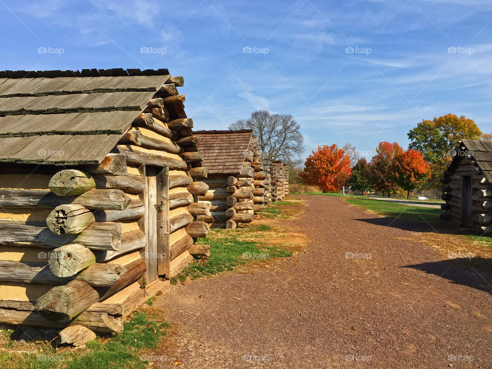 Landscape, House, No Person, Tree, Wood