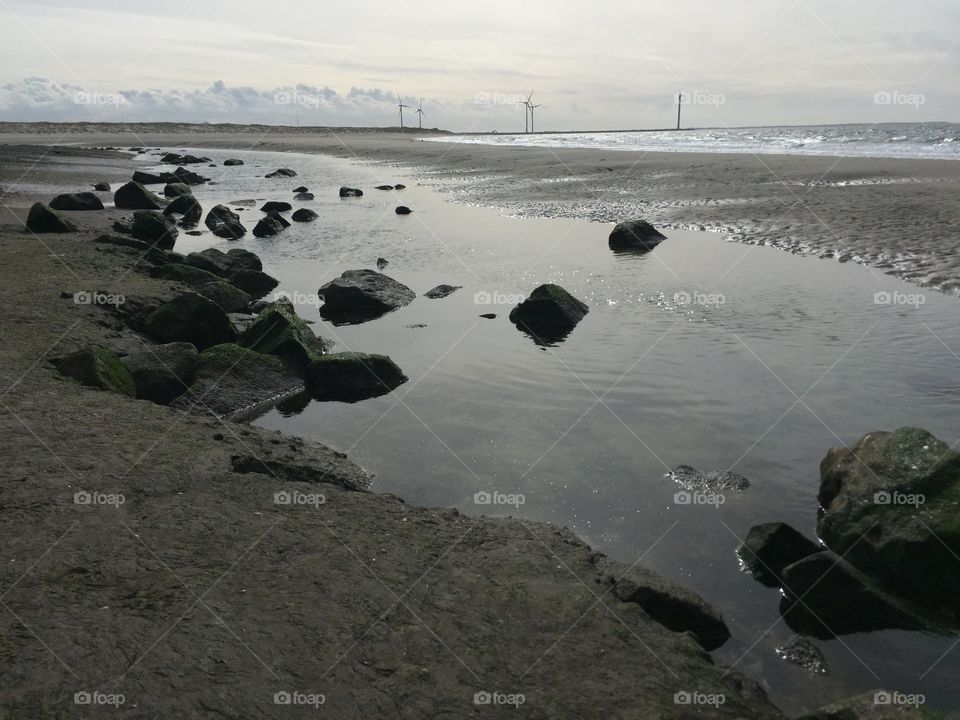 Coast sea Environment