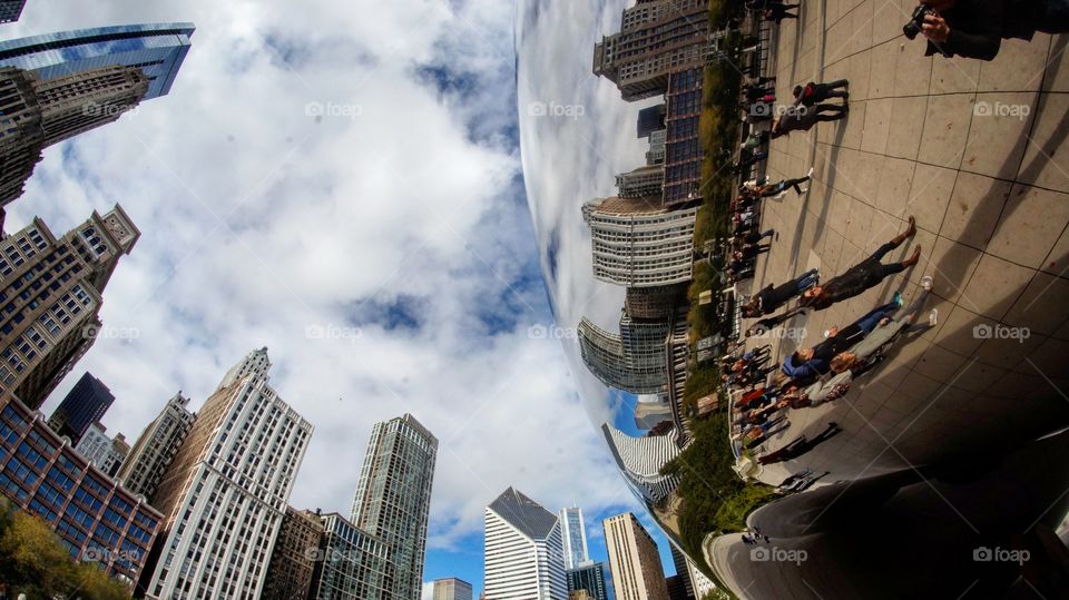 My perspective of the Bean