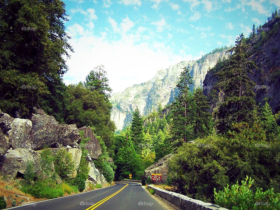 The Great American Road Trip: Yosemite National Park