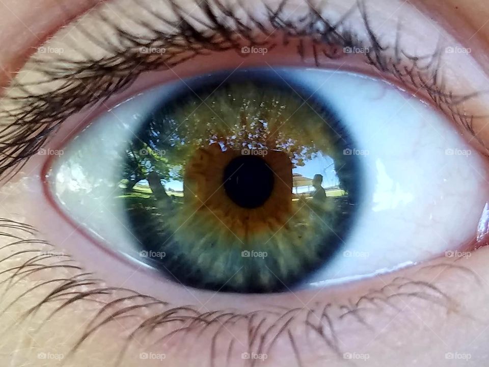 Eyeball, Woman, Eyesight, Vision, Girl