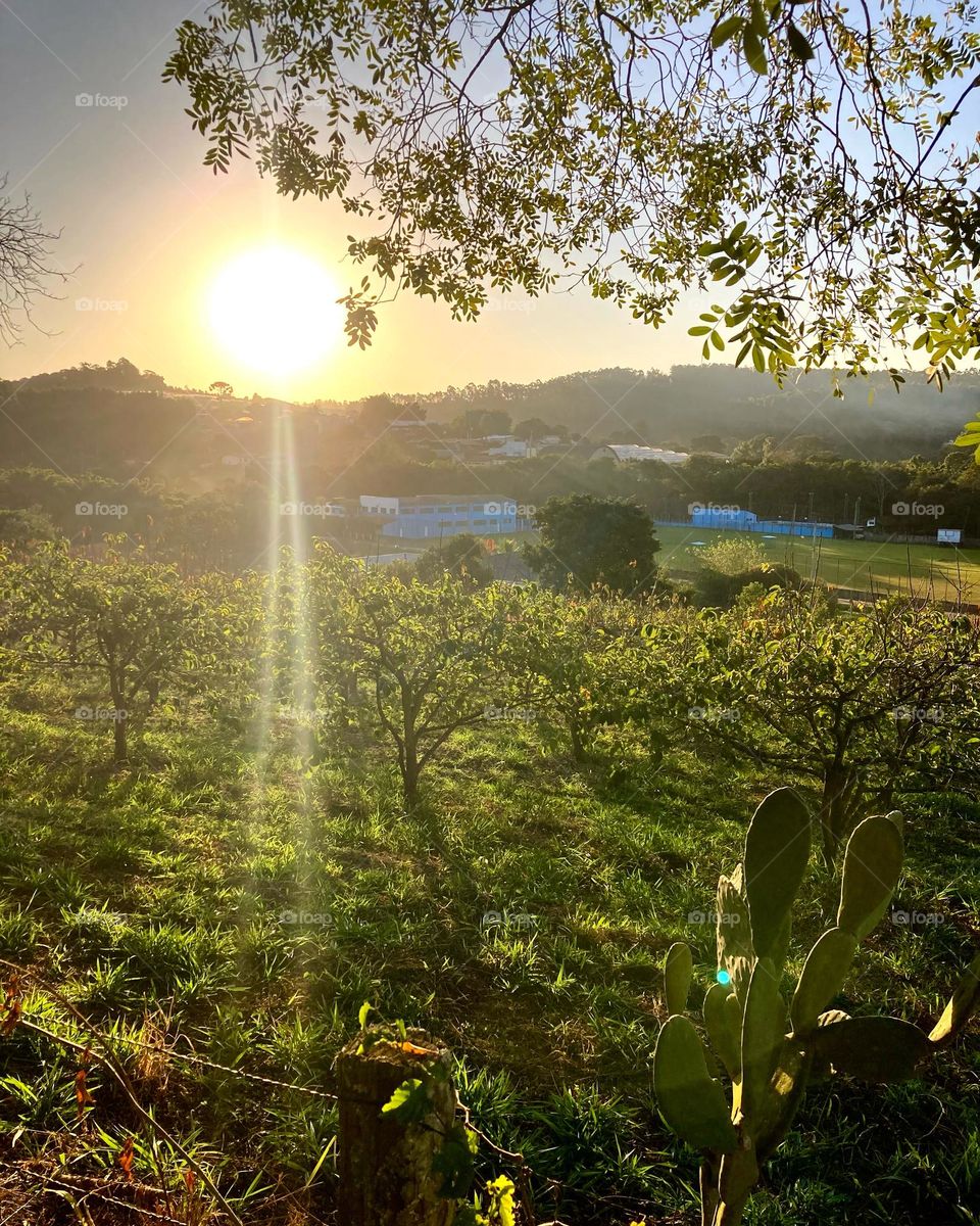 🌄🇺🇸 An extremely beautiful dawn in Jundiaí, interior of Brazil. Cheer the nature! / 🇧🇷 Um amanhecer extremamente bonito em Jundiaí, interior do Brasil. Viva a natureza!