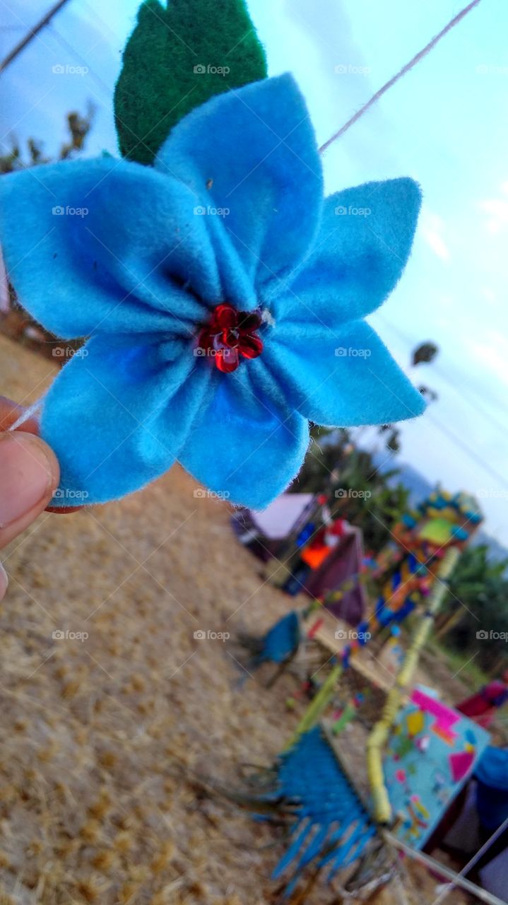 blue blue flower