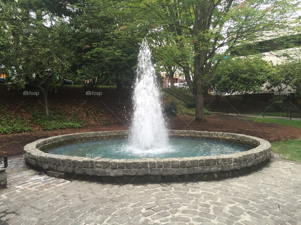 Fountain in Tacoma, WA
