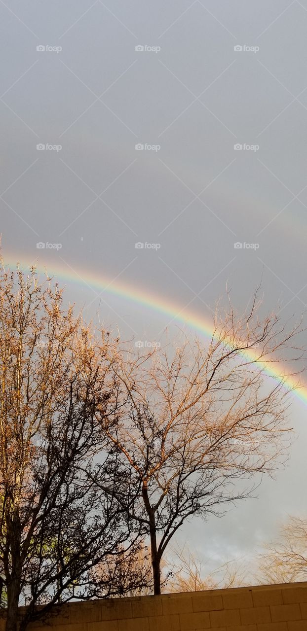 rainbow in the sky of grey