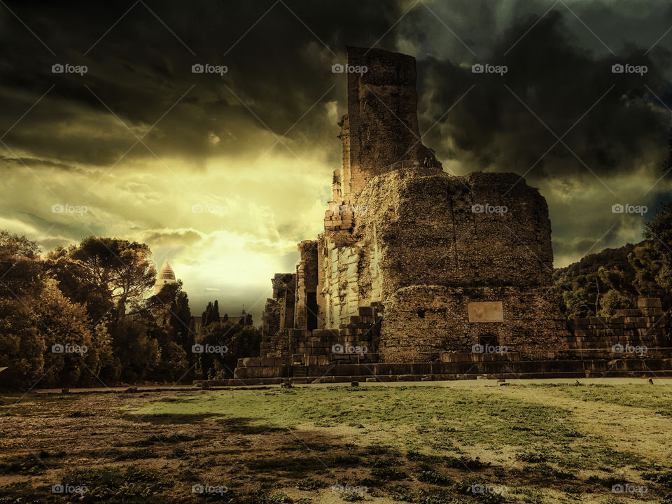 The great August Trophy enthroned on a cleared plain