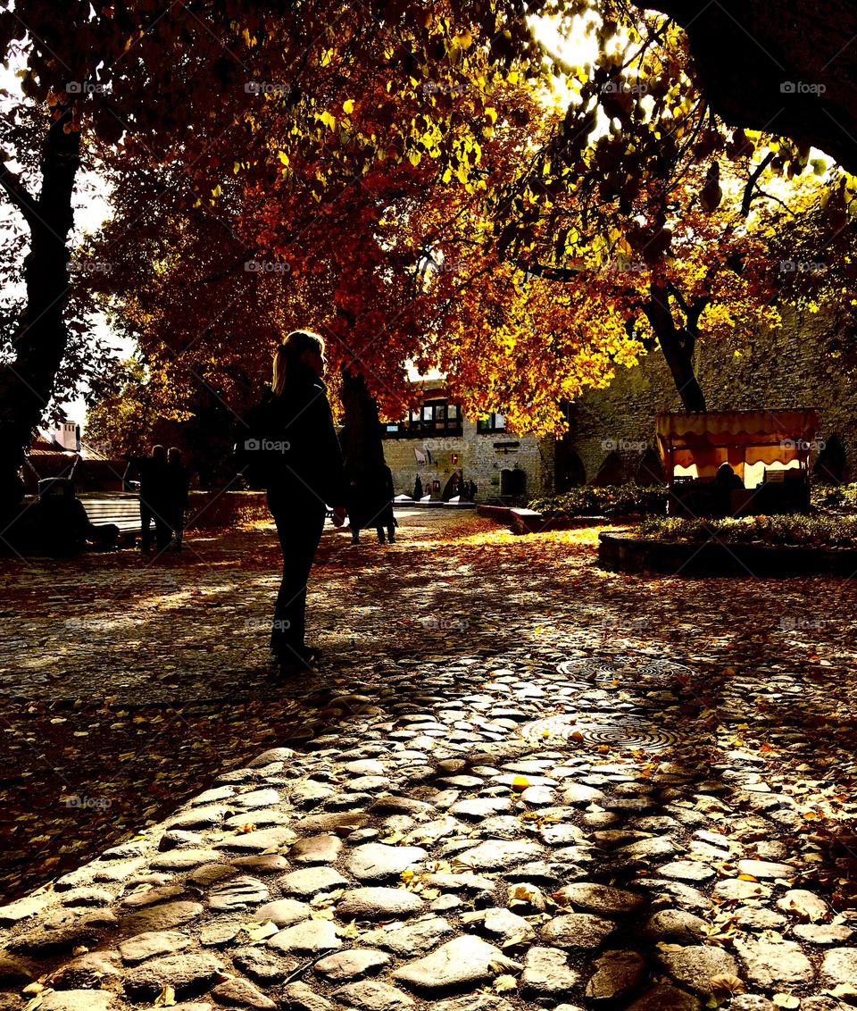 October rust at Old city, Tallin, Estonia