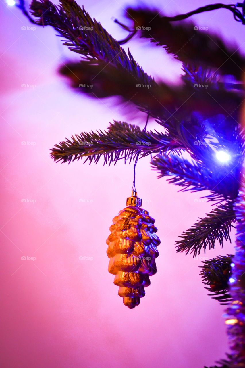 Christmas tree and toy