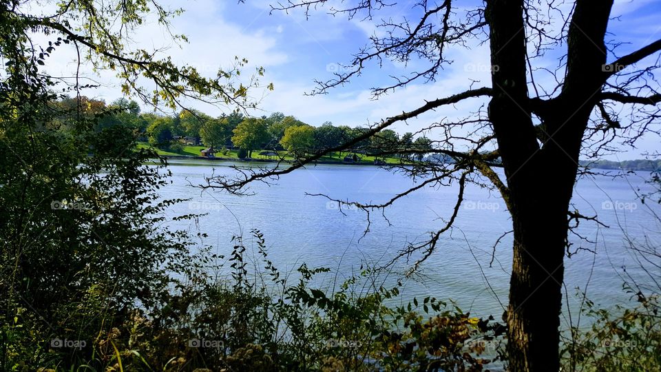 a great shot of Lake Springfield through the trees at the Abraham Lincoln Memorial Garden