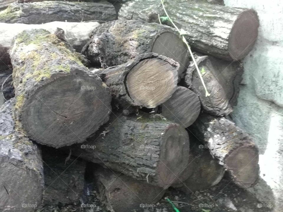 troncos de leña para fogata.
