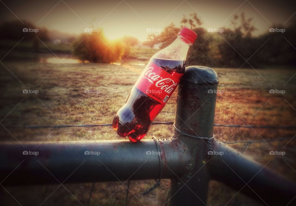 Coca-Cola at Sunset