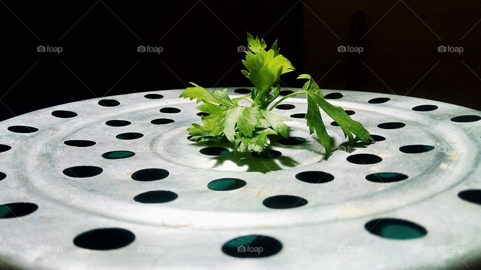 lettuce on top of the steamer