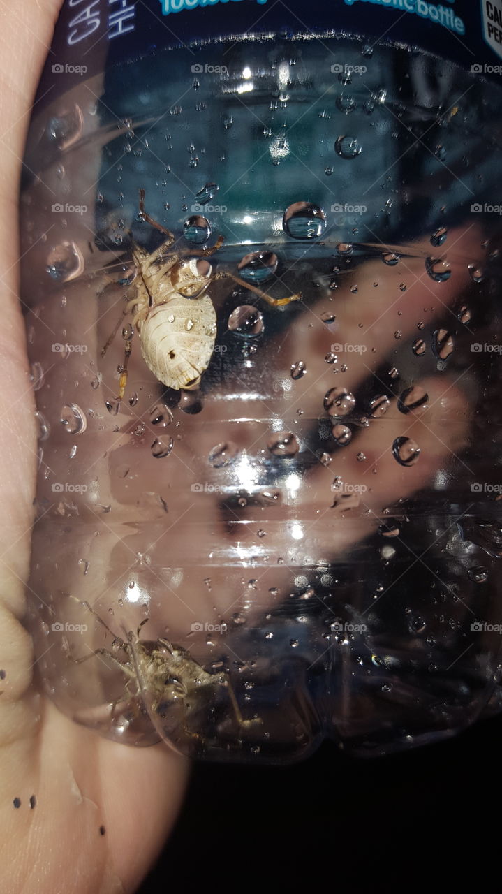 Wet, Drop, Bubble, H2 O, Rain