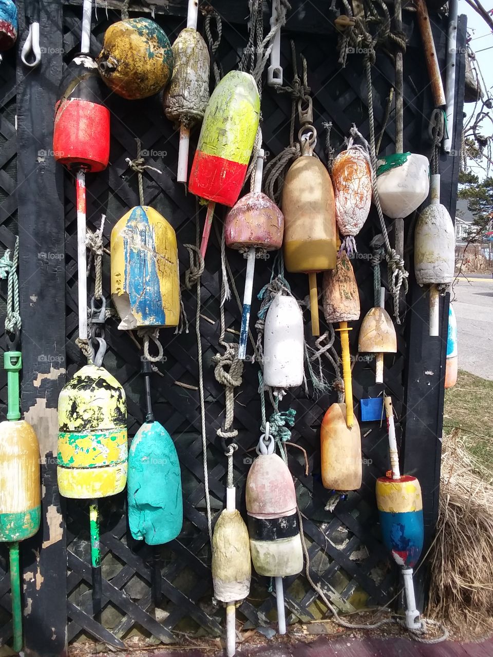 buoys